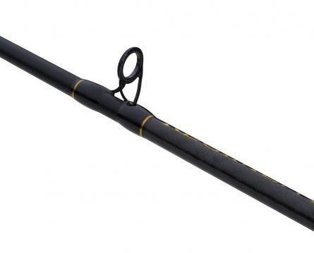 Prut PENN Regiment III S.C.B. 12-20lb 2,4m