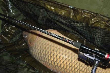 SPORTEX PREM.Revolt.Carp 12ft 3.25lbs