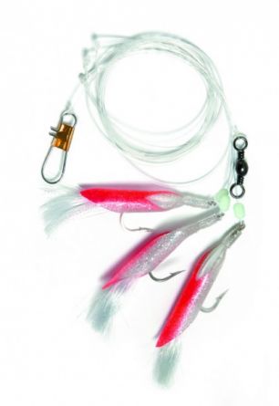 Mo�e COAL FISH RIG RED