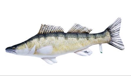 Gaby Pol�t�� Cand�t obecn� velk� 75cm