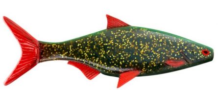 STORM R.I.P ROACH 08 GMOU