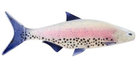 STORM R.I.P ROACH 08 RT