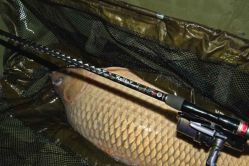 SPORTEX PREM.Revolt.Carp 12ft 3.25lbs