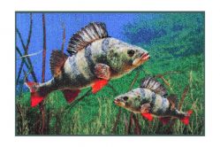 V�ce informac� o v�robku Roho�ka okoun 3D 60x40cm
